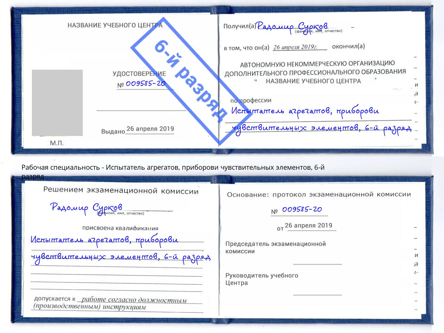 корочка 6-й разряд Испытатель агрегатов, приборови чувствительных элементов Темрюк