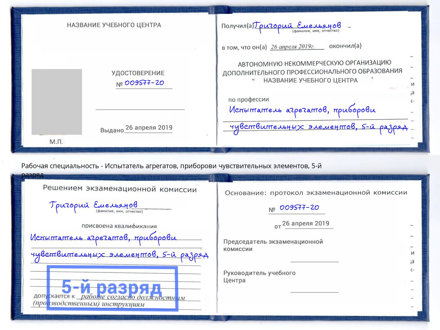 корочка 5-й разряд Испытатель агрегатов, приборови чувствительных элементов Темрюк