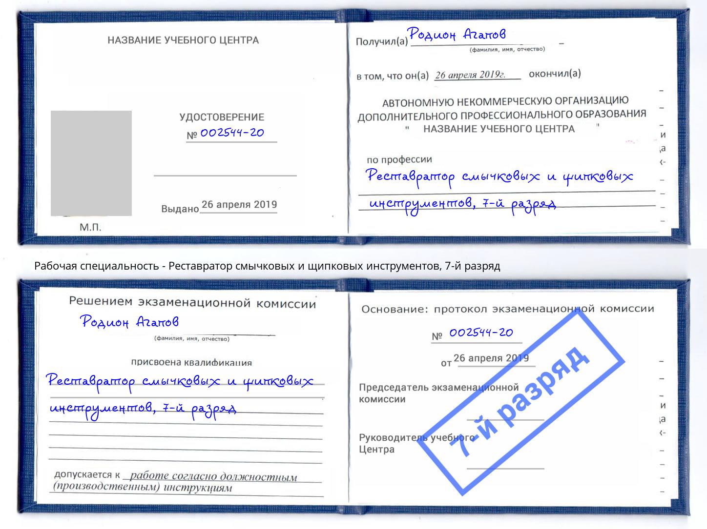 корочка 7-й разряд Реставратор смычковых и щипковых инструментов Темрюк