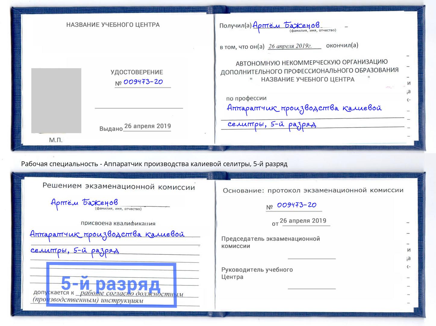 корочка 5-й разряд Аппаратчик производства калиевой селитры Темрюк