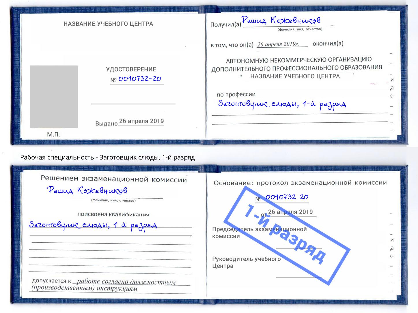 корочка 1-й разряд Заготовщик слюды Темрюк